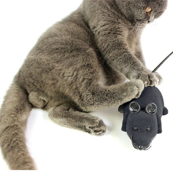Chat Drole Jouet Souris Telecommande Sans Fil Simulation Souris Electrique Pet Toy Alik085 Cdiscount