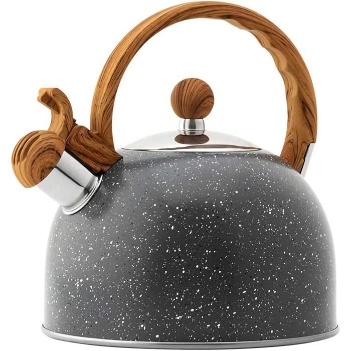 Bouilloire Sifflante avec Poignée en Bois pour une Cuisine Raffinée