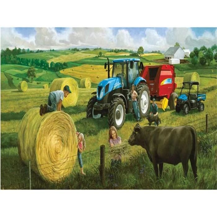 Broderie En Point De Croix Scène De Ferme Encadrée