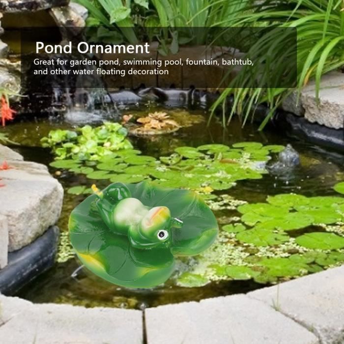 9 Plantes Résistantes Au Soleil Et Peu Gourmandes En Eau Pour Un Jardin