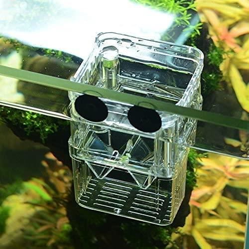Meilleurs prix pour Aquarium Poissons en plastique multi-boîte Isolation fonctionnelle d'élevage couvoir incubateur Box avec Pasteur Pipet