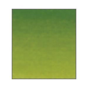 Winsor et Newton Artistes Aquarelle permanent Sap Green (1) 14ml
