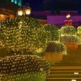 Filet Rideau Lumineux Extérieur Solaire 6 x 4m Guirlande lumineuse avec 8 modes pour Noël, Halloween, Jardin, Blanc Chaud -3
