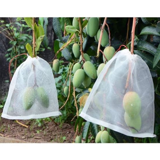 Sac Aliment Fruit et légume Réutilisable - Conservation Eco Concept - 30 x  46 x 3 cm - Textile Polyester - Cdiscount Maison