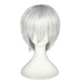 perruque blanc