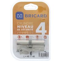 Bricard 15981 Cylindre Trial S 40 + 40 Nickele double entree/niveau de securite 4