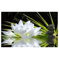 Affiche deco ambiance zen et fleur de lotus - 60x40cm - made in France