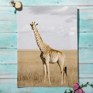 Tableau Panorama Girafe 21x30 cm - Imprimée sur Toile - Tableau Animaux -  Cdiscount Maison