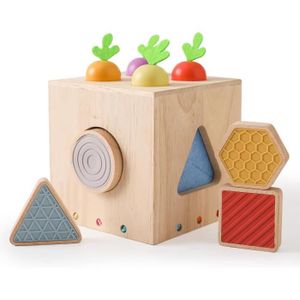 PUZZLE Montessori Jouet En Bois À Partir De 1, 2, 3 Ans, 