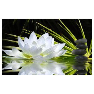 AFFICHE - POSTER Affiche deco ambiance zen et fleur de lotus - 60x4
