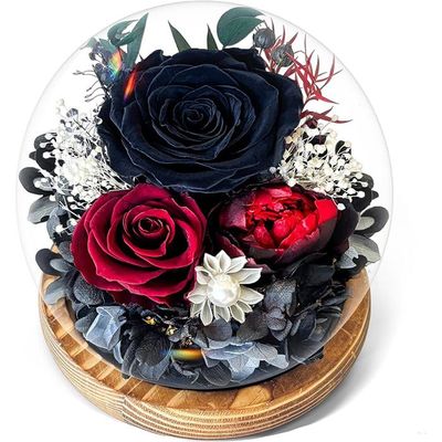 Rose Eternelle Sous Cloche - Ours En Rose Avec Lumière Led, Cadeau