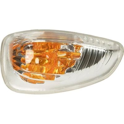 Clignotant De Rétroviseur Droit Conducteur - Pour Renault Master III, Opel Movano B, Nissan NV400
