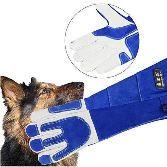Gants De Manipulation Pour Chien Chat Oiseau Serpent Cuir Epais Et Anti Morsure Scratch Gant De Protection Pour Des Animuax Cdiscount Jardin