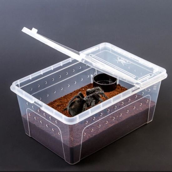 Bac à Eau Pour Tortue 2 En 1 - 14,9x14,5x2 Cm - Pour Bain Et Alimentation - Facile à Nettoyer - PP Résistant - 11