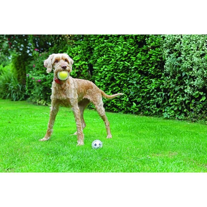 Rosewood Jolly Doggy Balle de Tennis Attraper-Jouer Jouet pour Chien 275282