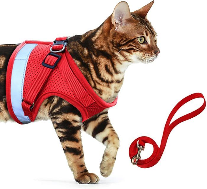 Comparer les prix de Harnais Chat, Harnais Chaton, Harnais pour Chaton Harnais pour Chat et Laisse pour Chat Réglable Harnais Laisse Gilet Respirant