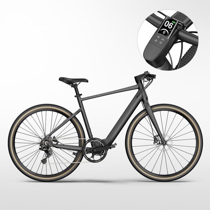 Fiido C21 Taille M City E-bike avec capteur de couple