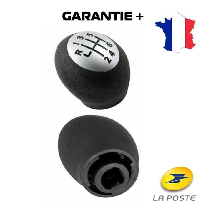 POMMEAU DE LEVIER DE VITESSE - 2031234014202 Prévu Pour MASTER TRAFIC 2 ET 3