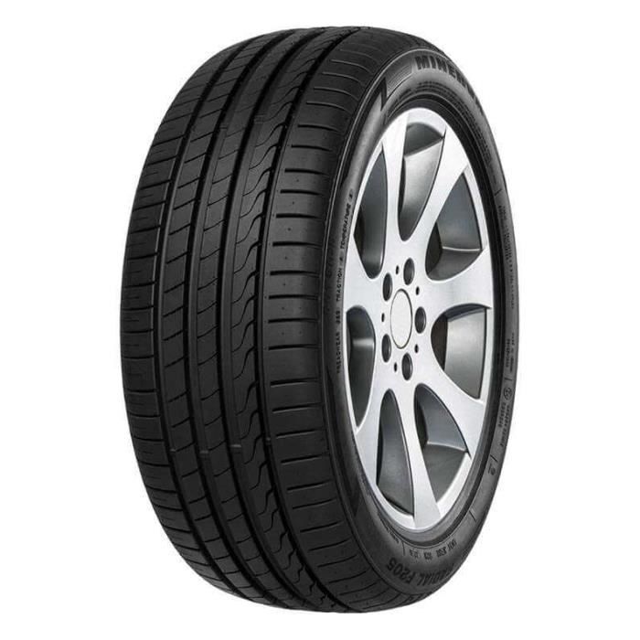 Pneu AUTO MINERVA F205 285 45 ZR19 111Y XL 4x4 ETE