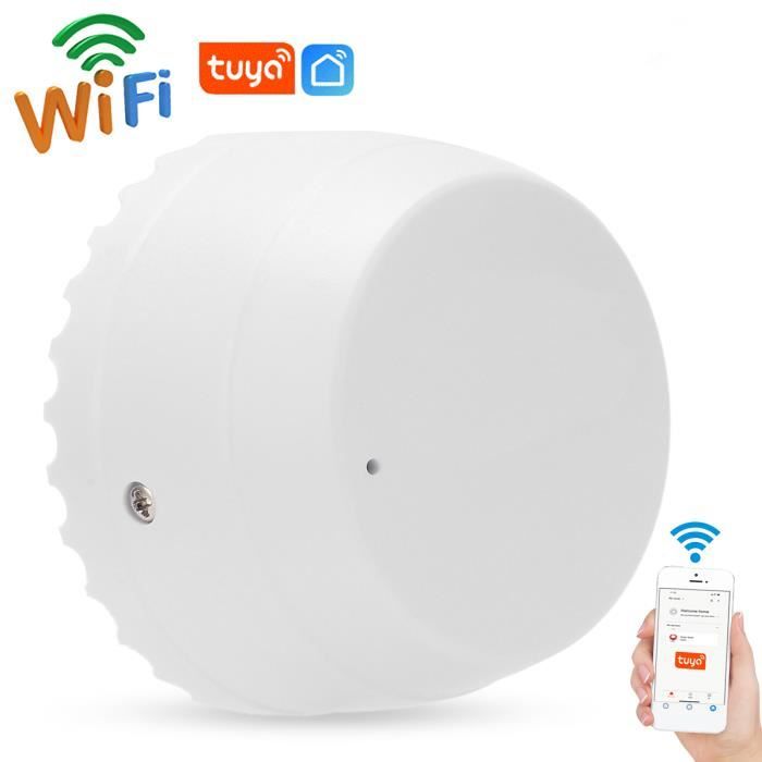 Détecteur De Fuite D'eau WiFi Intelligent - Alarme Inondation Compatible Alexa Et Google