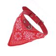 2cm de largeur motif de paisley collier bandana foulard pour chien animal de compagnie rouge-1