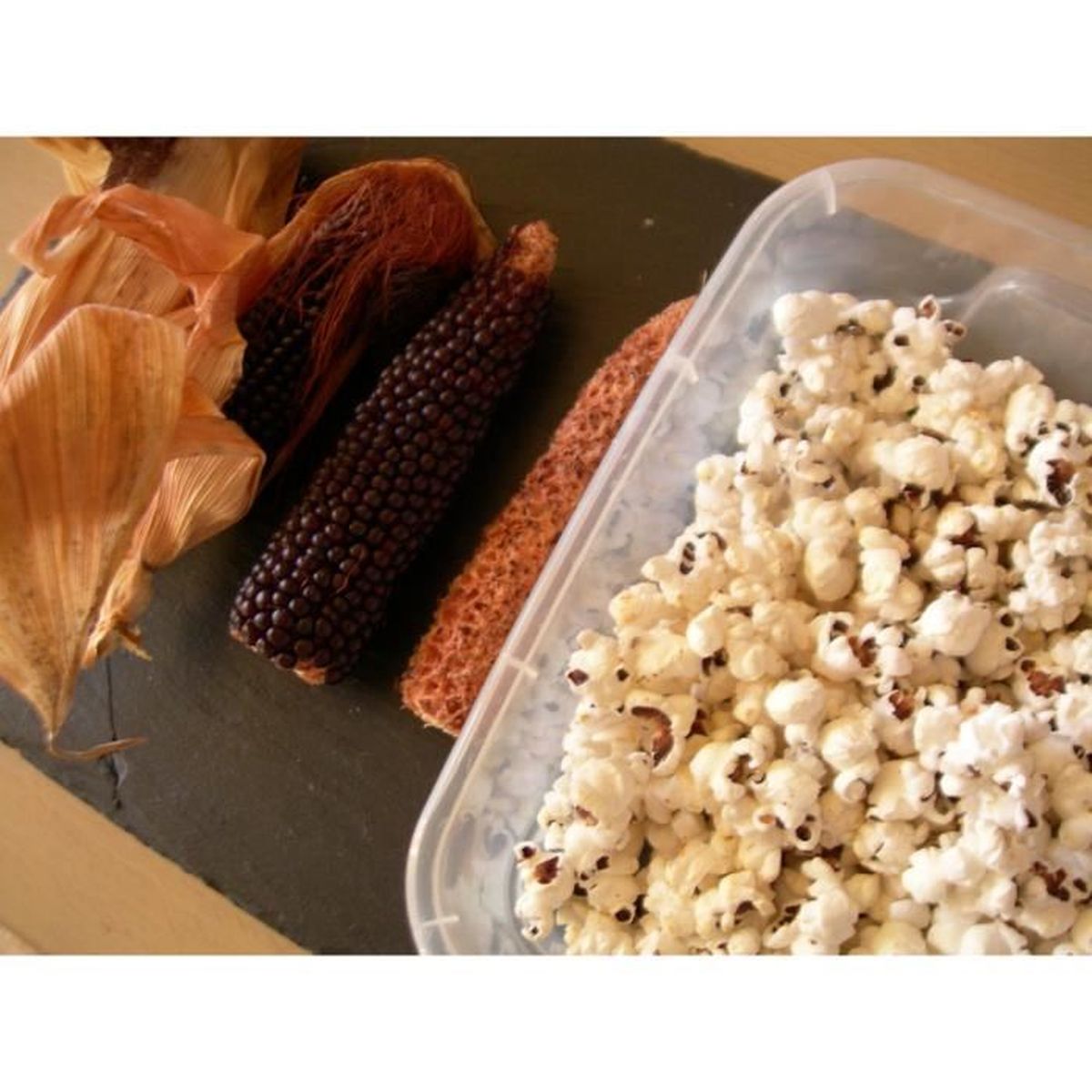 SEM02 Zea Mays Convar Saccarata L Maïs Popcorn Noir - Pop Corn Black
