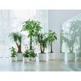 ELHO B.for Soft Pot de fleurs rond 35 - Blanc - Ø 35 x H 32 cm - intérieur - 100% recyclé-4