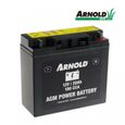 Batterie pour tracteur tondeuse Arnold 5032-U3-0010 12V 20Ah-0