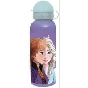 GOURDE Disney Frozen , reine des neiges gourde en  Aluminium bottle 520 ml