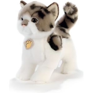 Furreal Friends Peluche Interactive Daisy Mon Chat Joueur Cdiscount Jeux Jouets Furreal Friends Peluche Interactive Daisy Mon Chat Joueur Cdiscount Jeux Jouets
