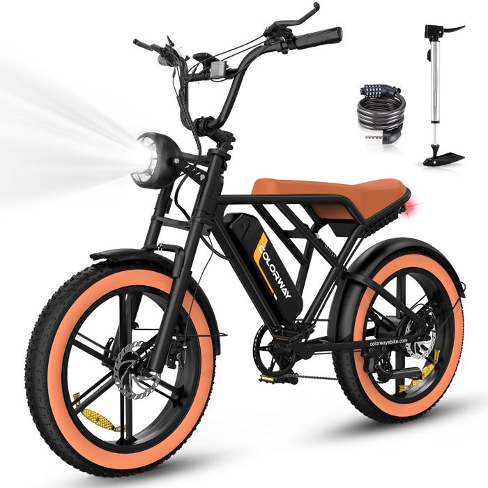 Velo electrique best sale 50 km