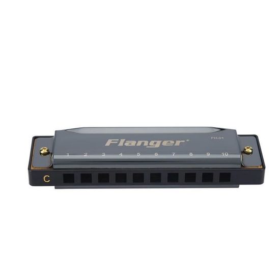 Harmonica Kirdume 10 Trous 20 Tons – Parfait Pour Débutants Et Enfants | Instrument à Vent Bleu, Éveil Musical