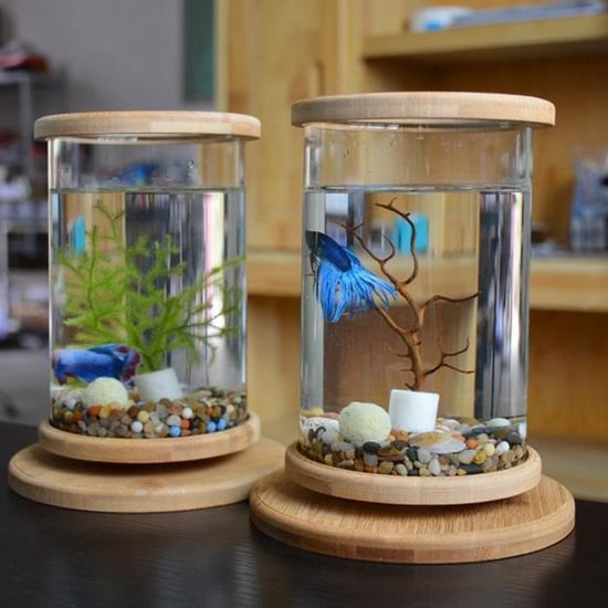 Aquarium,Betta Aquarium en verre 1 pièce Base en bambou, Mini Aquarium de décoration, accessoires - Type only Fish tank-18X14.5cm