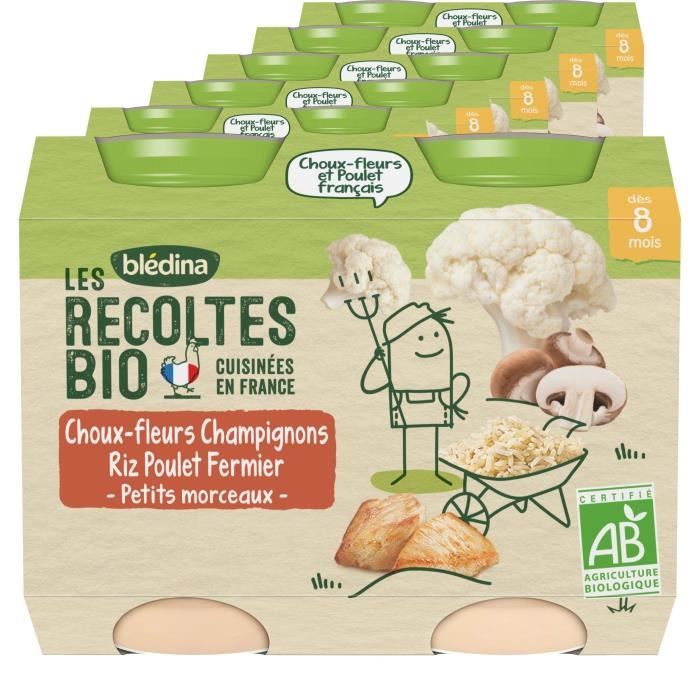 Blédina Les Récoltes Bio Choux-fleurs, champignons, riz et poulet fermier - Lot de 2 pots x 100 g