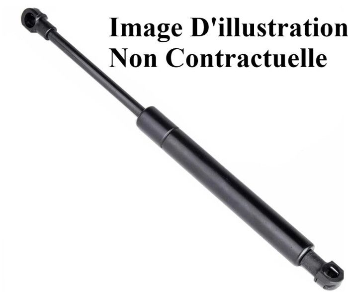 Vérin Hayon-Coffre à Bagages - PEUGEOT 307 SW 1.6 16V À part. 03-2002