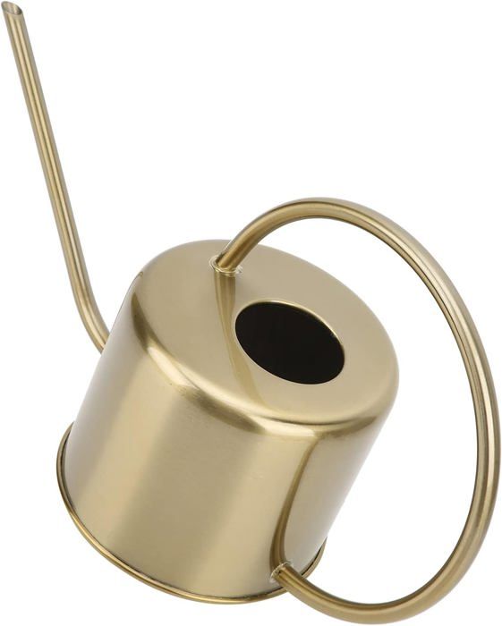 BKSAI Arrosoir Multifonction à Suspendre Avec Long Bec Verseur Anti-Refoulement Pour Intérieur Ou Extérieur