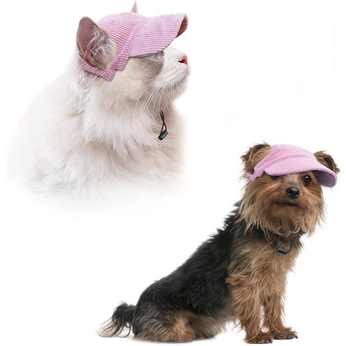Chapeau dété pour chats et chiens - Protection UV - Ajustable - Casquette pour la protection solaire et le sport - Chapeau