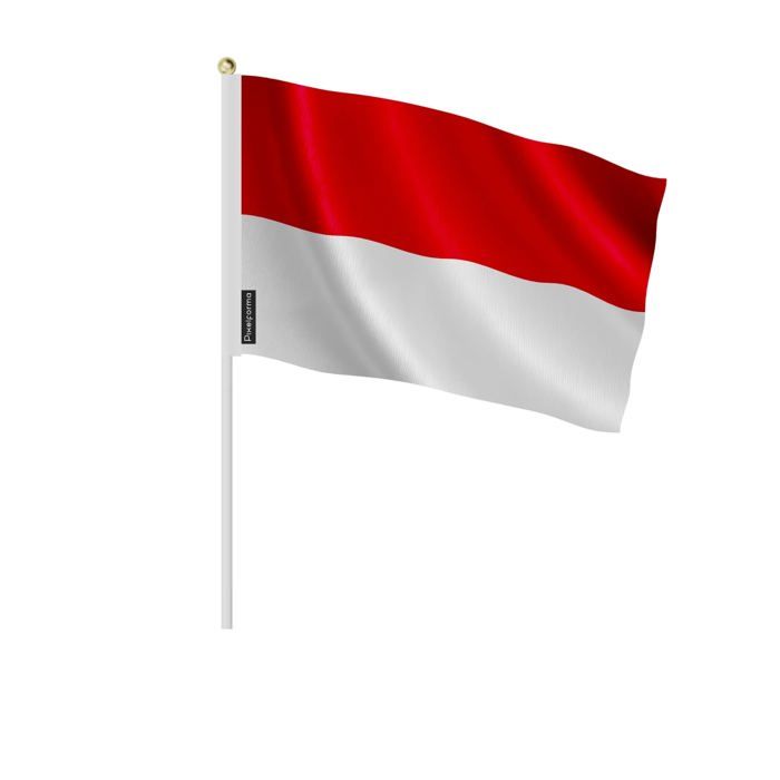 Lot De 50 Drapeaux à Main Île De La Réunion 14x21cm - Petits Drapeaux Français à Agiter