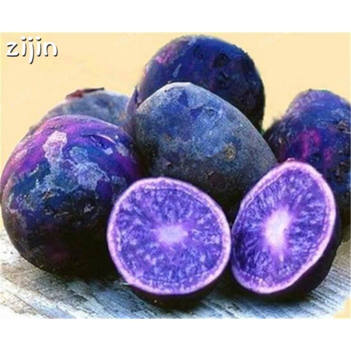100 Pcs Graines Violet pomme de terre Bonsai Violet Sweet Delicious Nutrition végétale Y 