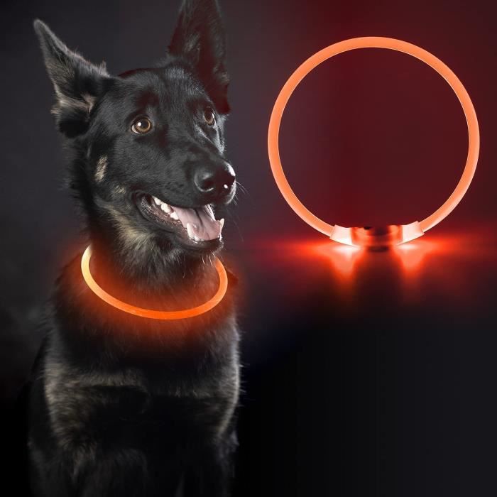 collier chien lumineux, collier led pour chien rechargeable usb, peut être coupé à n'importe quelle taille, collier pour chiens de