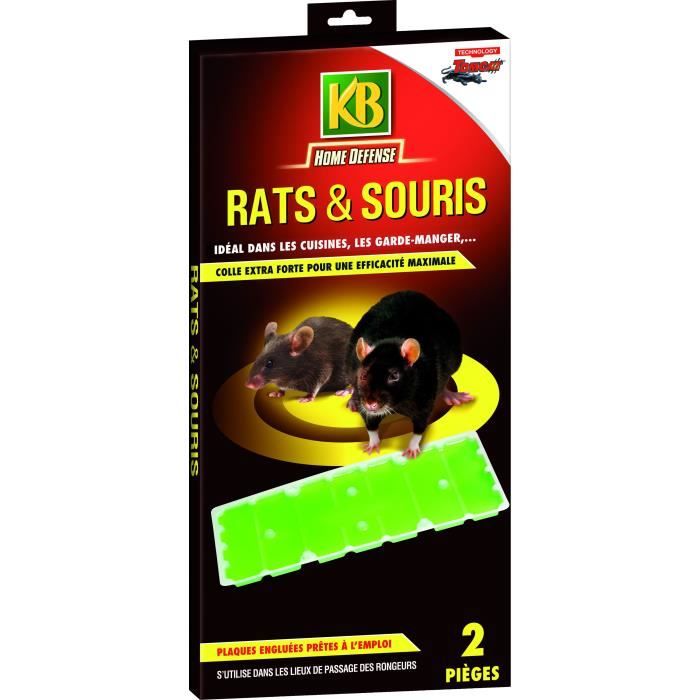 KB Lot de 2 pièges à glu rats et souris - Cdiscount Jardin