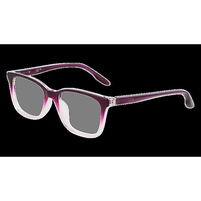 Lunette de vue nike flexon shop