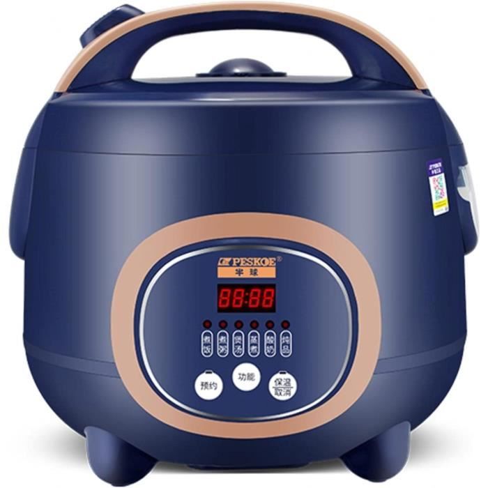 Marmite Électrique, 1,5 L Portable Multifonctionnel Cuiseur À Riz Électrique Cuiseur Vapeur