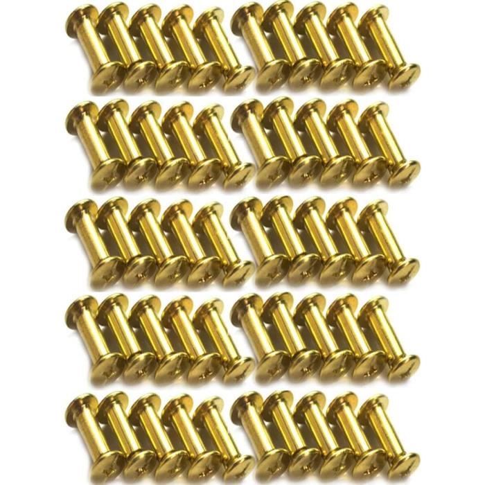 Quincaillerie De Selle ProRider Lot De 10 Vis Chicago Nickelées 1/2 Pouce