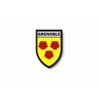 Patch Brodé Lyon - Blason De La Ville, Thermocollant, Couleur Rouge, Neuf écusson Lyon