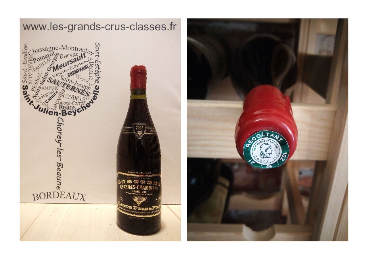 Charmes Chambertin 2007 - Domaine Camus - Grand Cru - 1 x 75 cl - Rouge