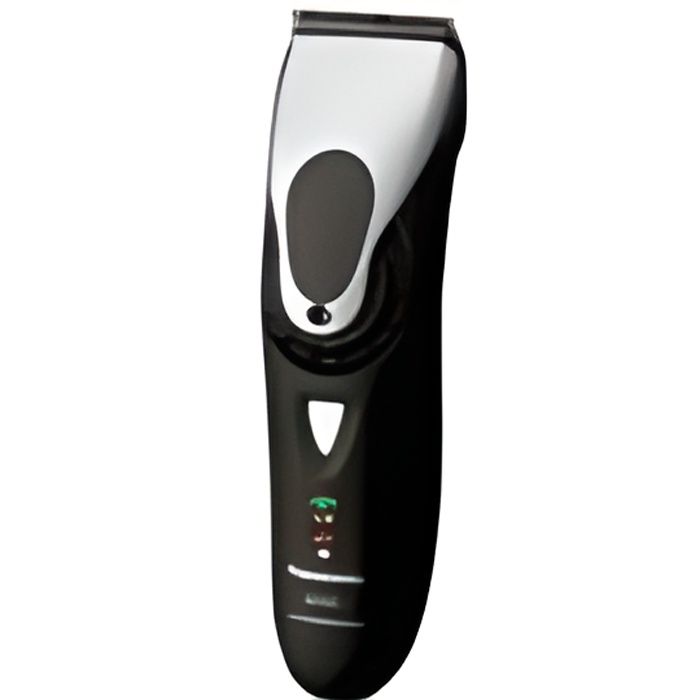 Panasonic Accu pour Tondeuse Professionnelle ER-16