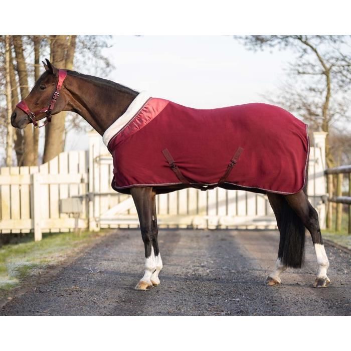 Tapis Polaire Tempest Bordeaux – 6 Pieds 9, Shires, Neuf
