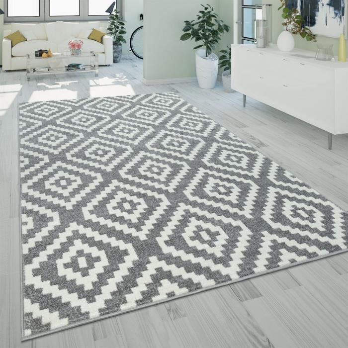 Tapis De Salon Gris 120x170