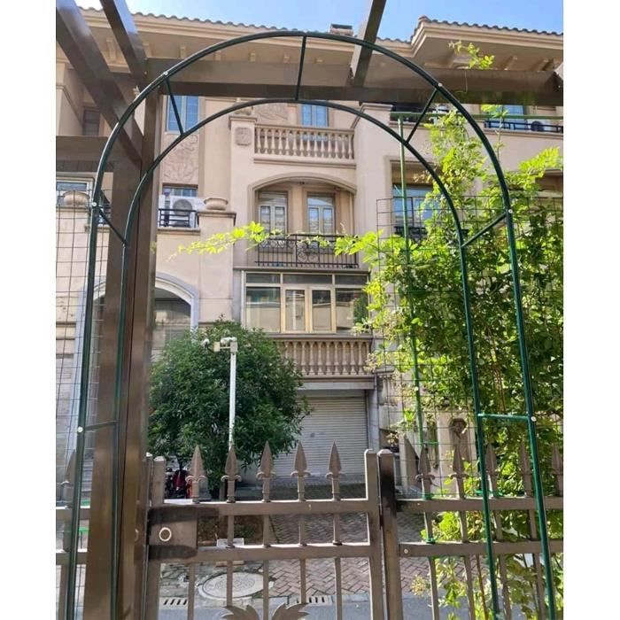 Arche De Jardin En Métal GLARRY 118x56x221 Cm - Tuteur Plantes Grimpantes Vert Foncé